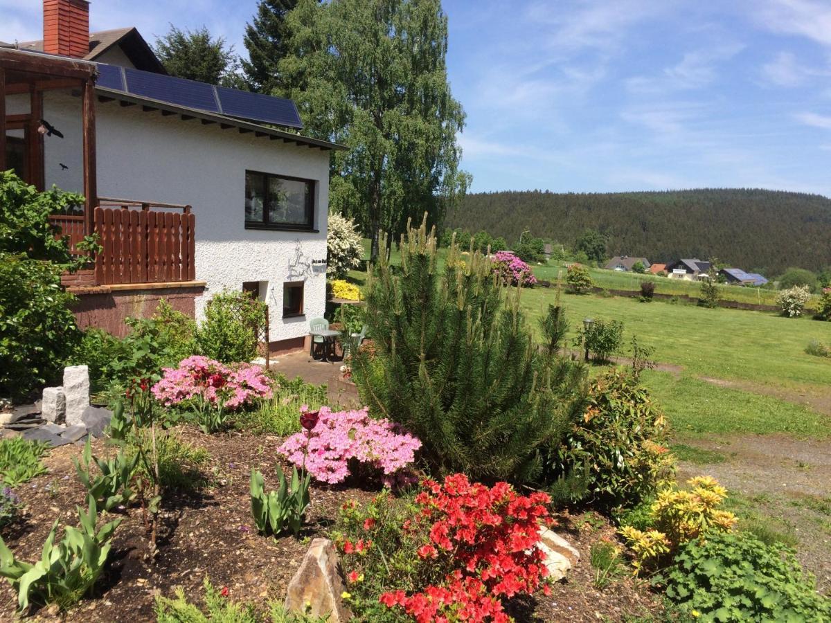 Apartmán Haus Am Wald - Urlaub Am Nationalpark Langweiler  Exteriér fotografie