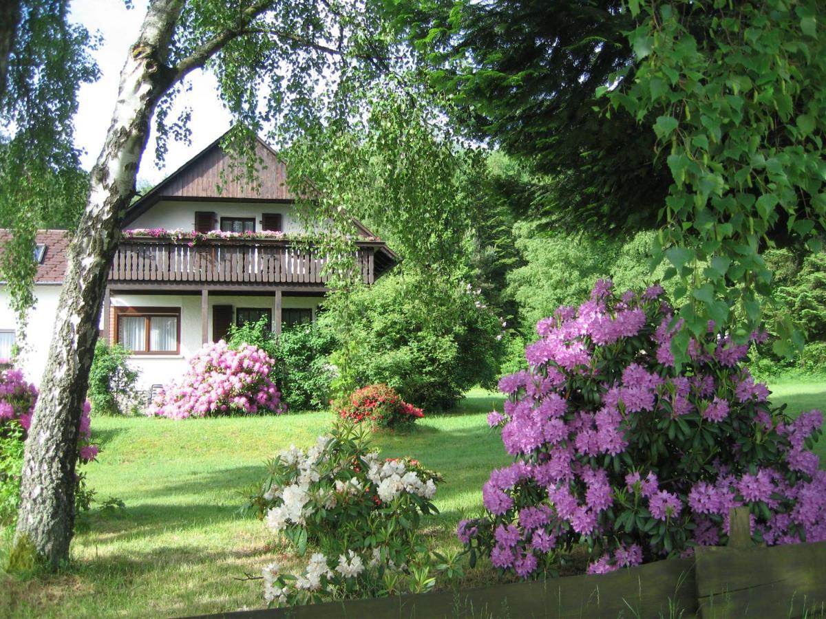 Apartmán Haus Am Wald - Urlaub Am Nationalpark Langweiler  Exteriér fotografie